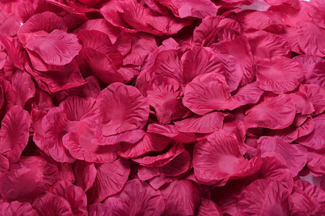 Kitcheniva Multicolor Silk Rose Petals DIY Craft & Party Decor 1000 Pcs